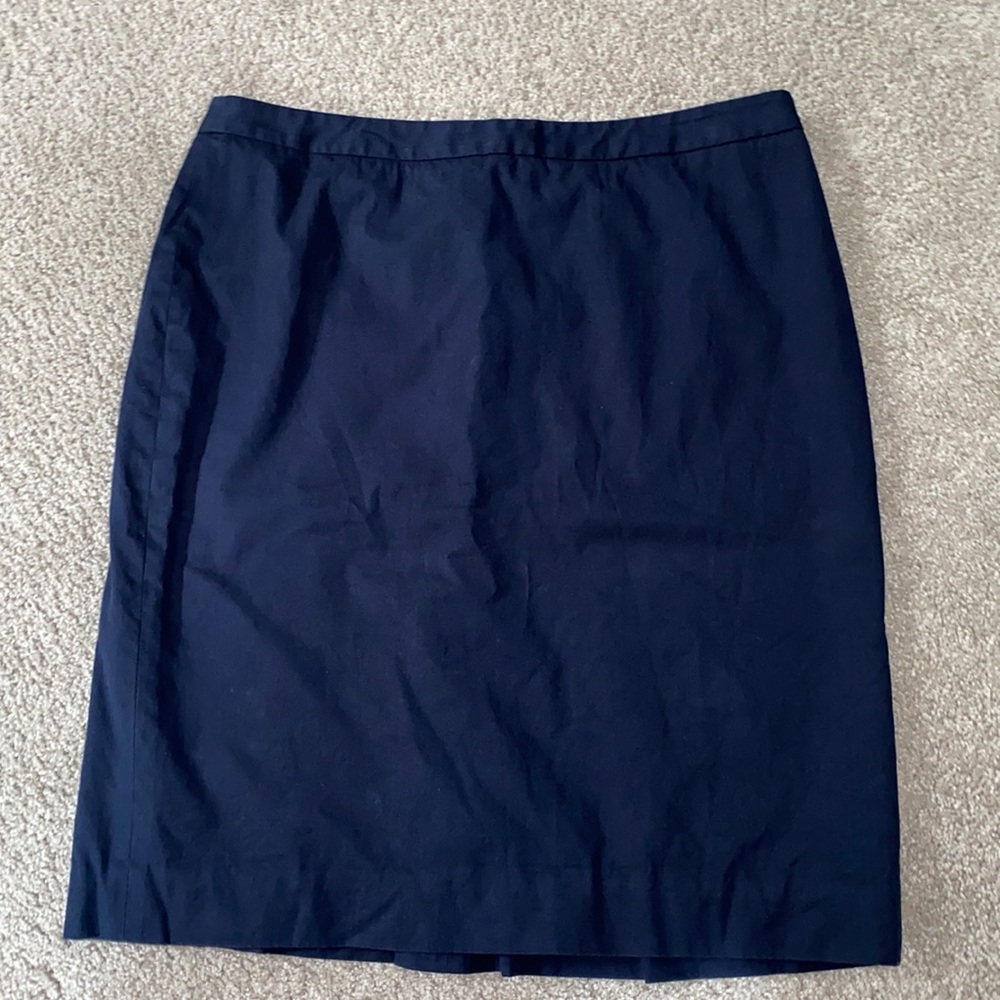 Jcrew skirt